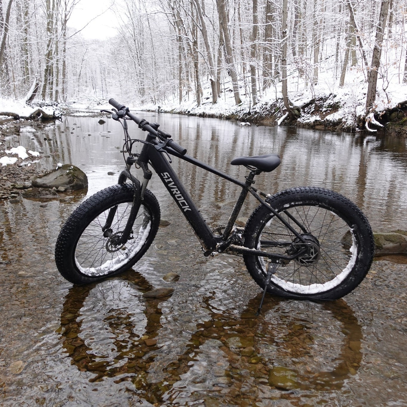 π΄ββοΈ 1000W Fat Tire E-Bike for Adults β Ride Anywhere in Power