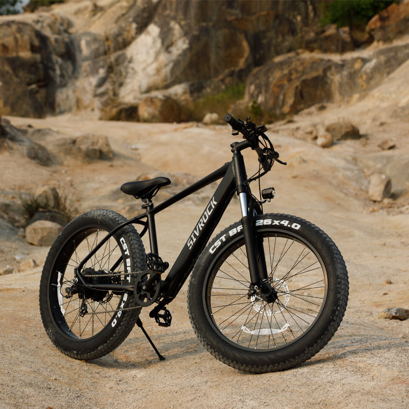 π΄ββοΈ 1000W Fat Tire E-Bike for Adults β Ride Anywhere in Power